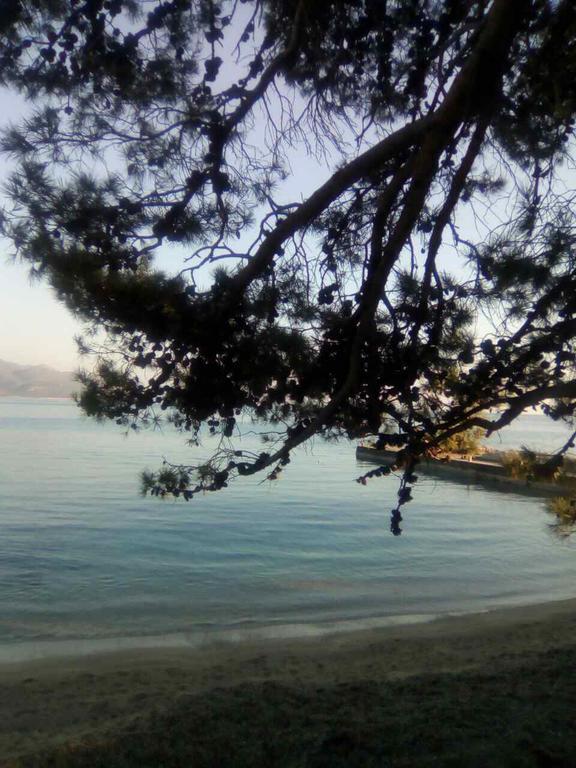 Apartments Villa Pirosi Orebić Dış mekan fotoğraf